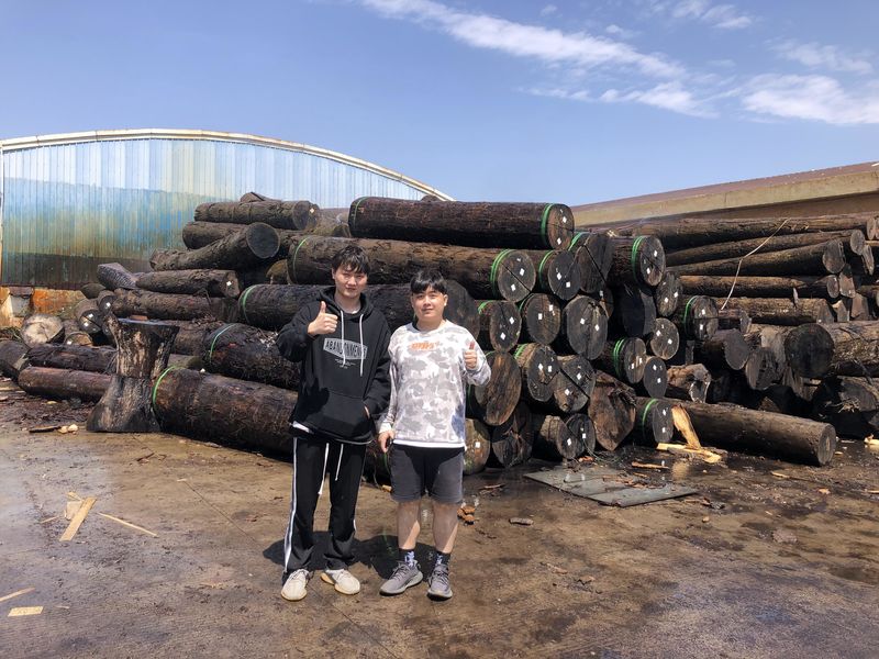 Dongguan Lingfeng Wood Industry Co., Ltd. üreticinin üretim hattı