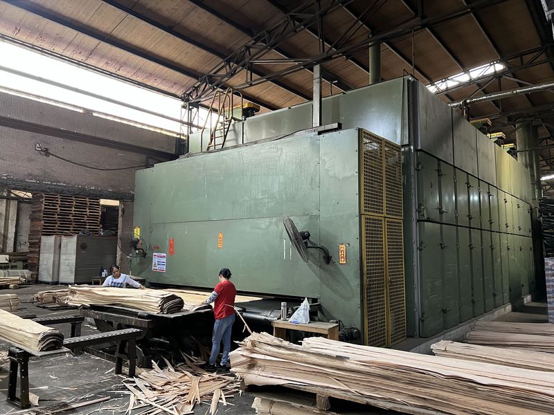 Dongguan Lingfeng Wood Industry Co., Ltd. üreticinin üretim hattı