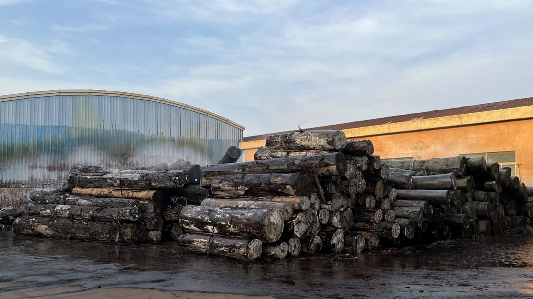 Dongguan Lingfeng Wood Industry Co., Ltd. üreticinin üretim hattı