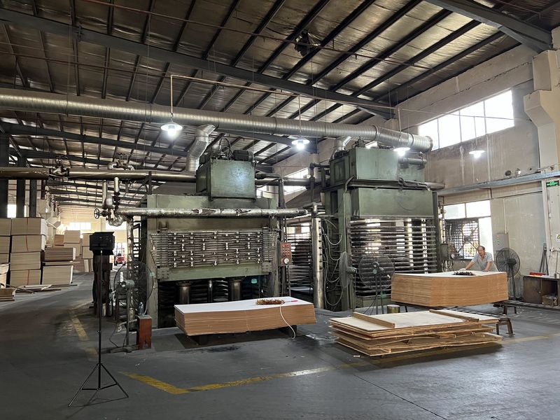 Dongguan Lingfeng Wood Industry Co., Ltd. üreticinin üretim hattı