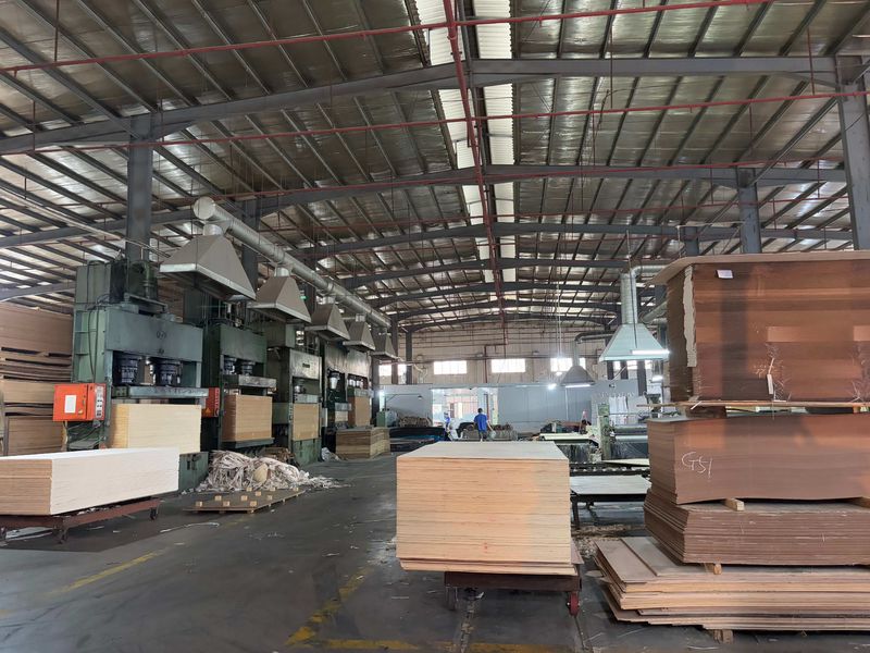 Dongguan Lingfeng Wood Industry Co., Ltd. üreticinin üretim hattı
