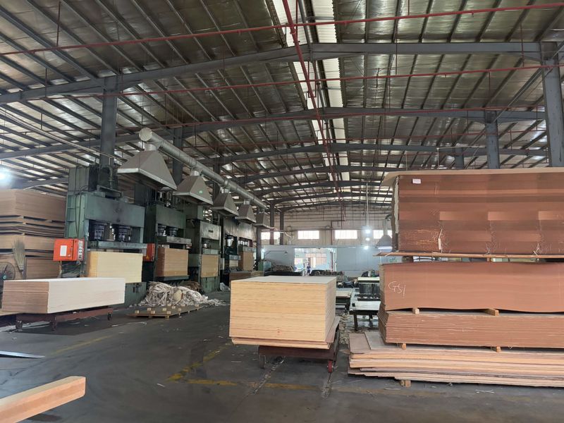 Dongguan Lingfeng Wood Industry Co., Ltd. üreticinin üretim hattı