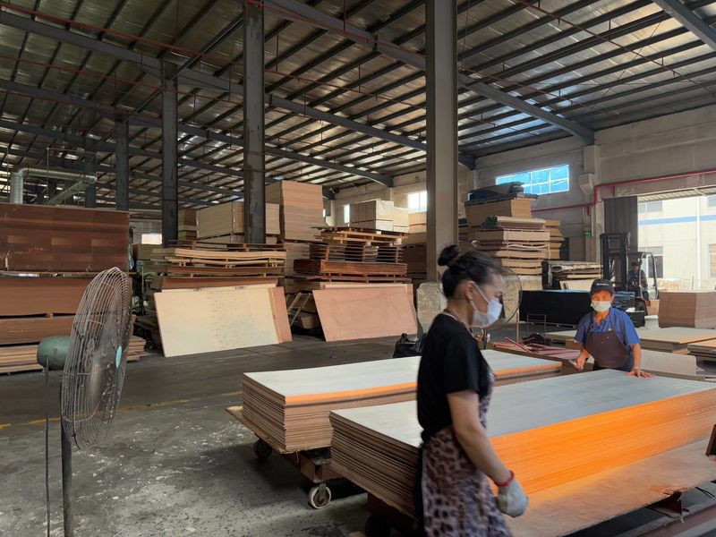 Dongguan Lingfeng Wood Industry Co., Ltd. üreticinin üretim hattı