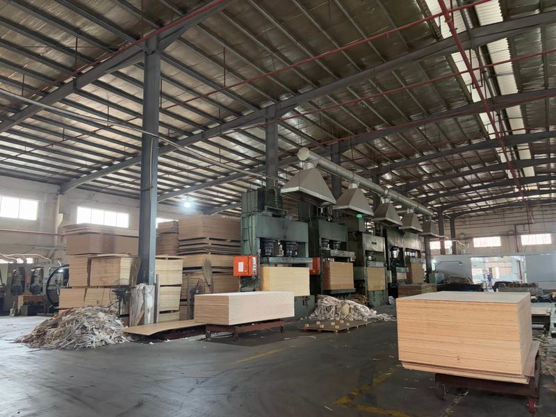 Dongguan Lingfeng Wood Industry Co., Ltd. üreticinin üretim hattı