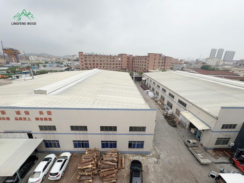 Dongguan Lingfeng Wood Industry Co., Ltd. üreticinin üretim hattı
