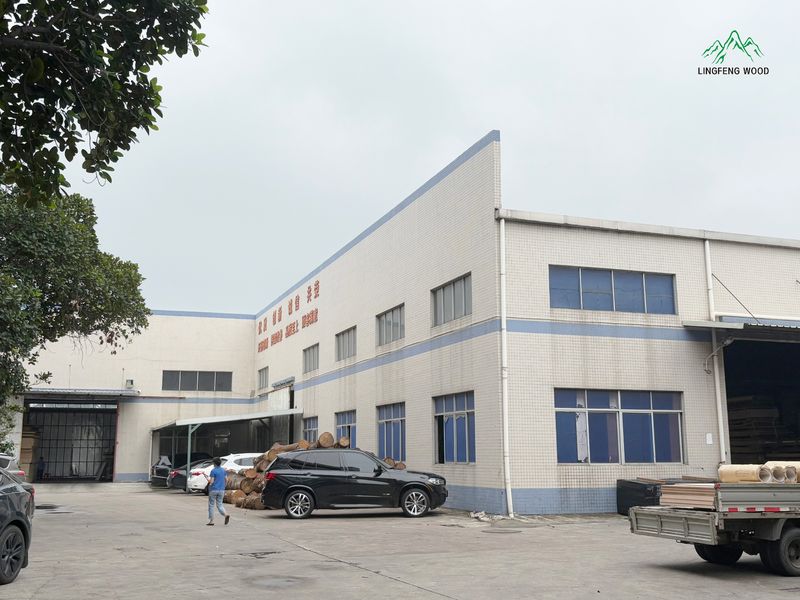 Dongguan Lingfeng Wood Industry Co., Ltd. üreticinin üretim hattı