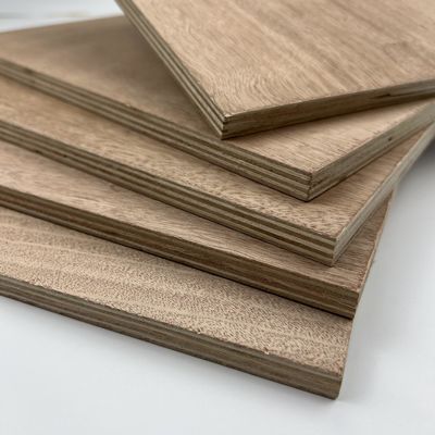Moistureproof Hardwood Veneer Plywood Sturdy Thickness 3mm-25mm