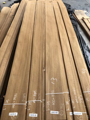 Factory Supply Natural Wood Veneer 0.2mm 0.3mm 0.5mm 1mm 2mm 3mm Natural Plain Cut Burma Teak Veneer