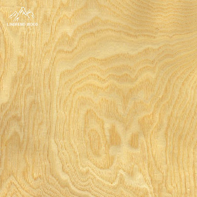 Kök Dönüşü Finer 0.45 mm.